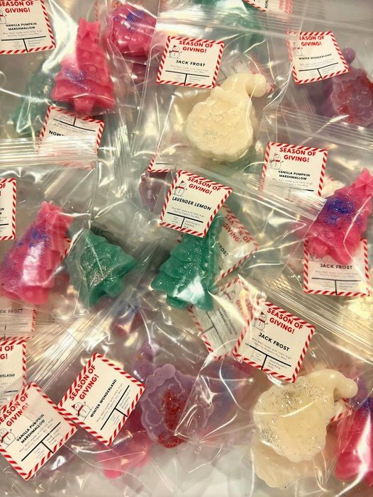 WS - Christmas/Winter Individually Bagged Wax Melts (Fillers / Stocking Stuffers) (Mini Wax Melts) !MOQ 12!