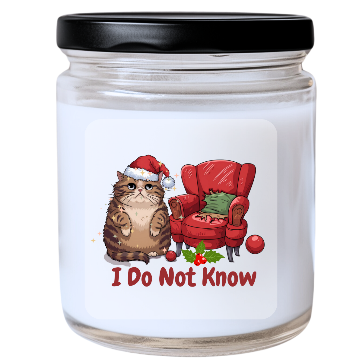 WS -  I Do Not Know Candle | Snarky & Hilarious Santa Cat Vibes | Handpoured Soy Wax | Phthalate-Free | Melted Misfits Collection