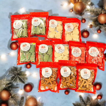 WS - Winter/Christmas Shapes - Wax Melt Shapes Mini Mylar Bags (SET of 6 PACKS)
