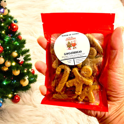 WS - Winter/Christmas Shapes - Wax Melt Shapes Mini Mylar Bags (SET of 6 PACKS)